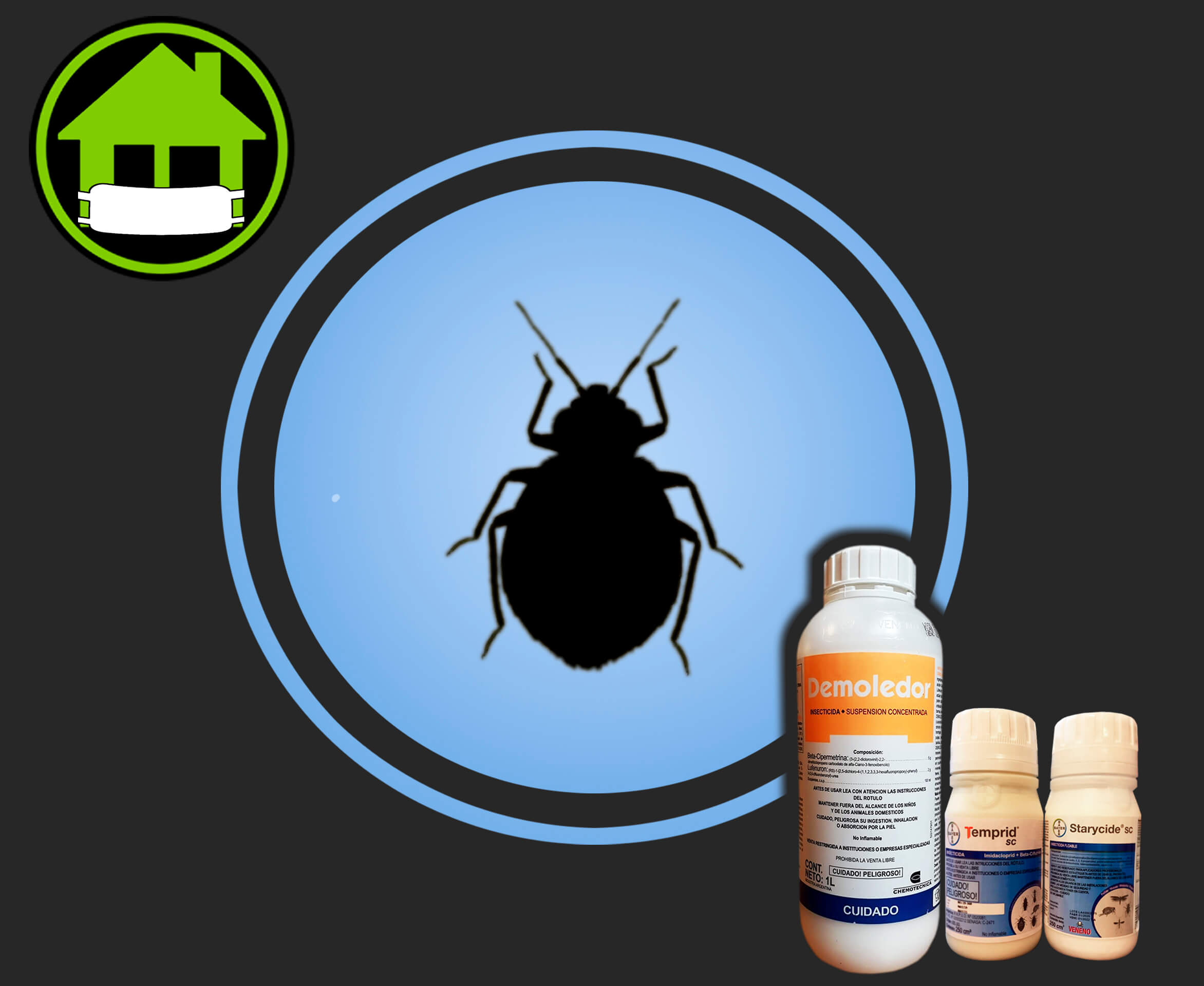 El difícil control de las Chinches de cama o Bed Bug. 