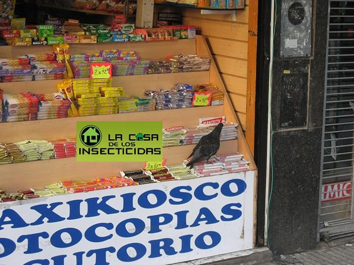 Nueva tecnolog&iacute;a para el control de palomas